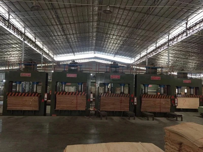 1200 Ton Cold Forming Machine suppliers